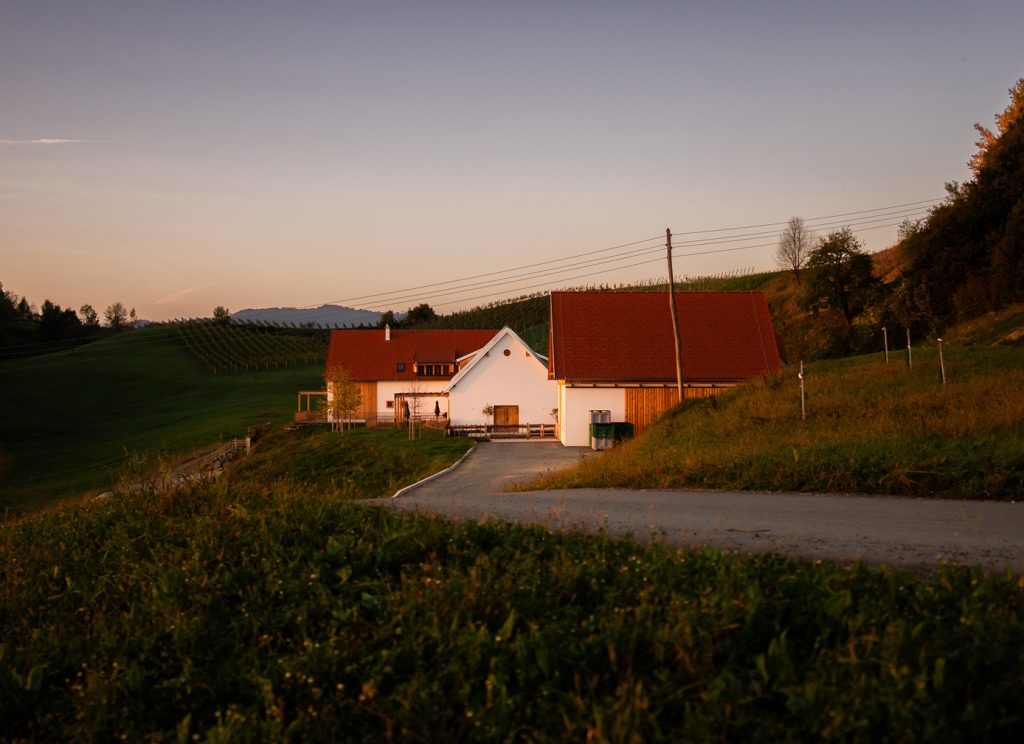 FLEIN_GROSS_Header_Hof